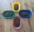 Coffee Flight